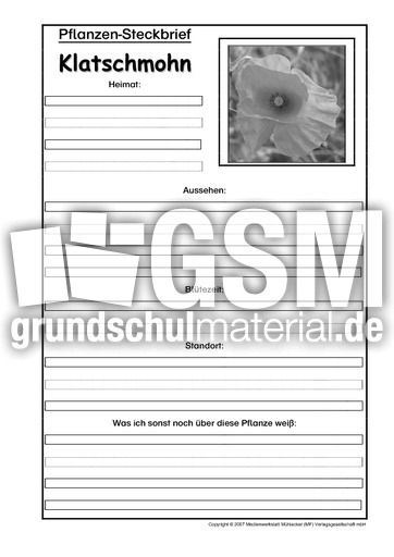 Pflanzensteckbrief-Klatschmohn-SW.pdf